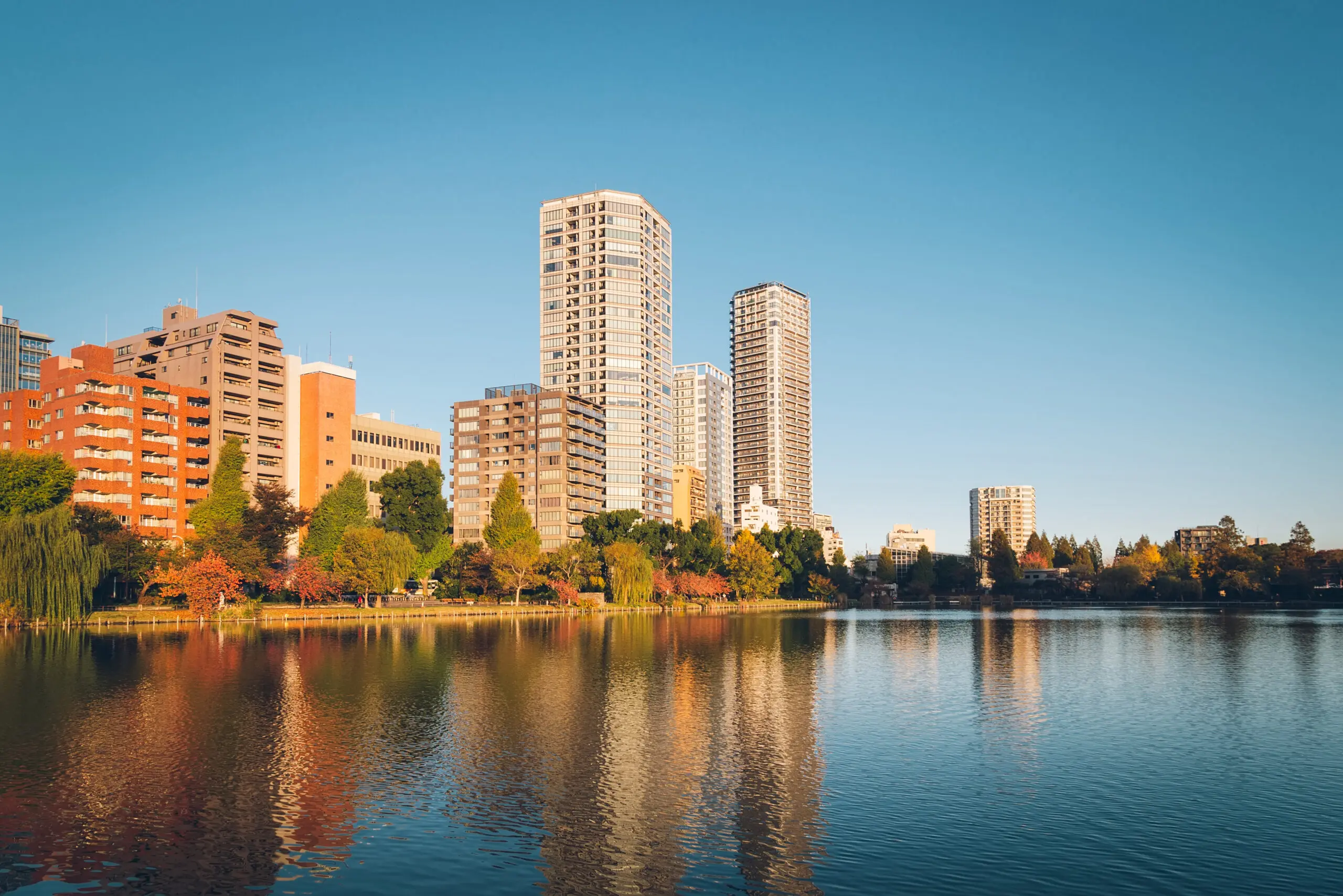 Photo d'un lac et des grands immeubles