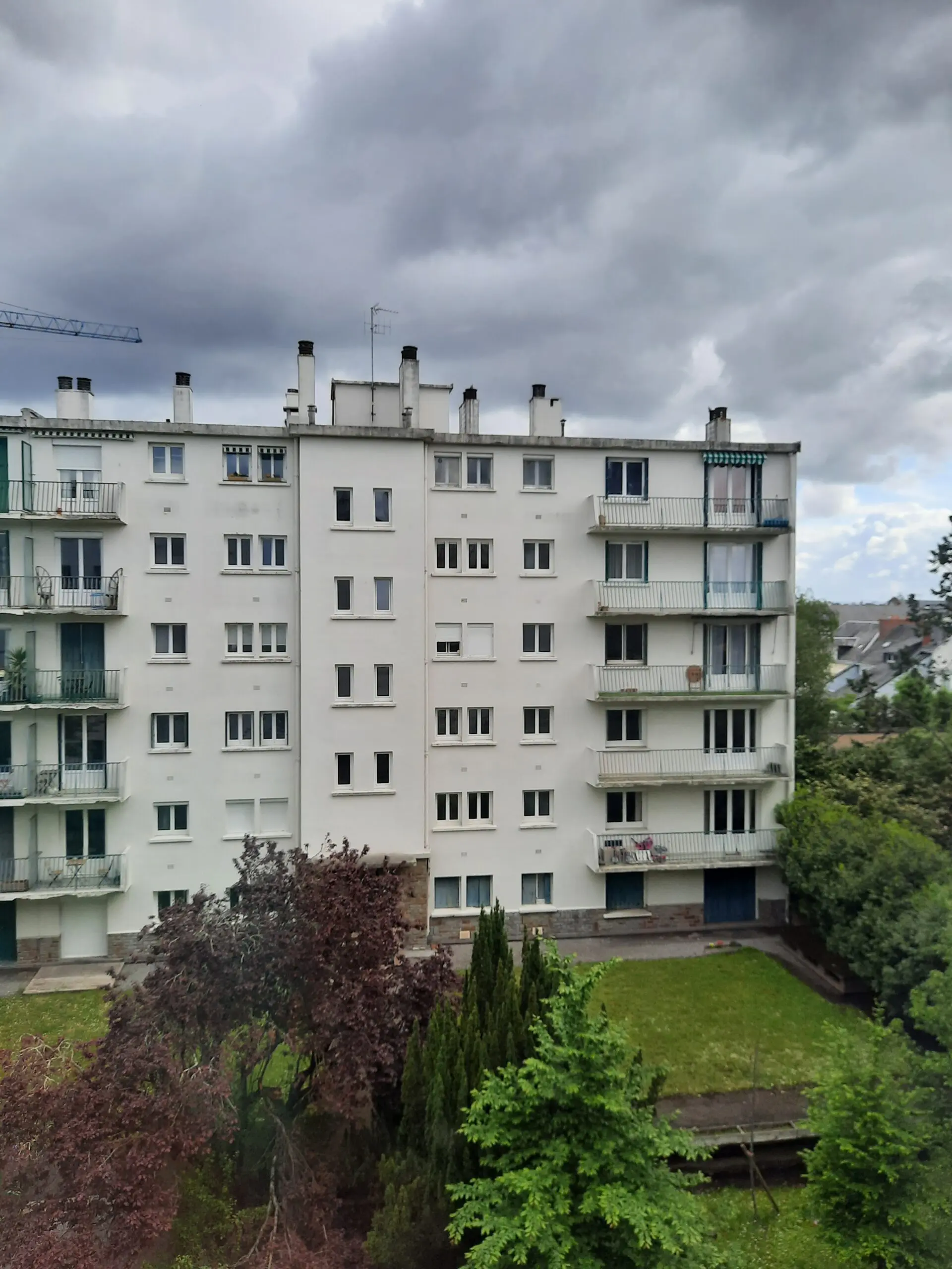 09012026_NANTES_CAMELIAS