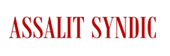 Audit et maîtrise d'œuvre de réhabilitation énergétique - Cabinet Assalit Syndic